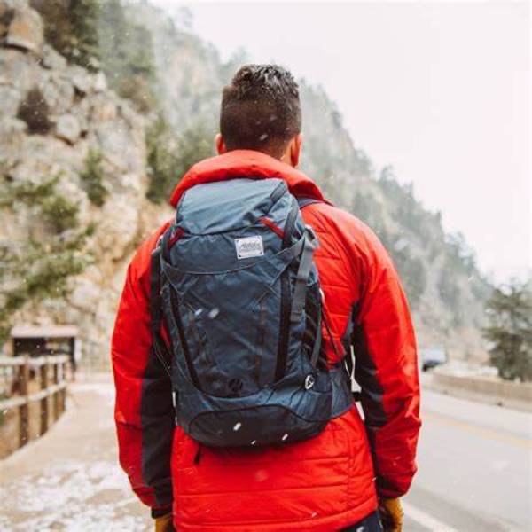 best mini backpack for men