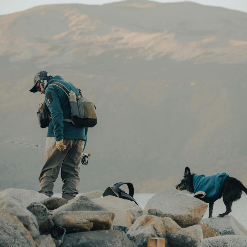 pet-friendly travel carrier backpack