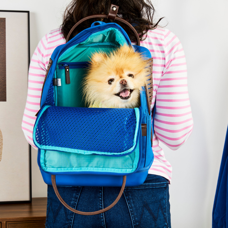 pet-friendly travel carrier backpack