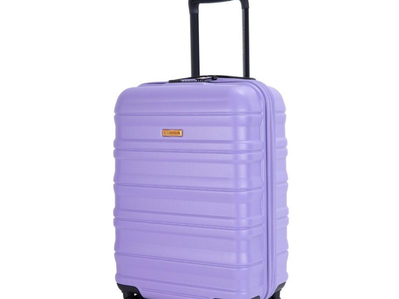 suitcase school